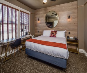 1 King Bed